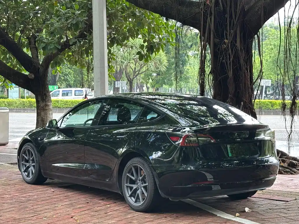 Tesla Model 3 — миниатюра 3