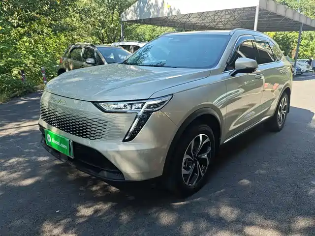 HAVAL  XIAOLONG MAX 2023