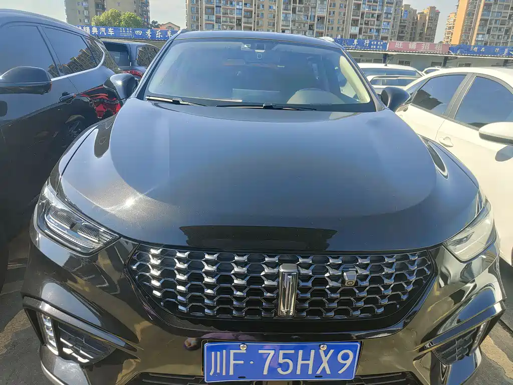 Wey Wey VV5 — миниатюра 2