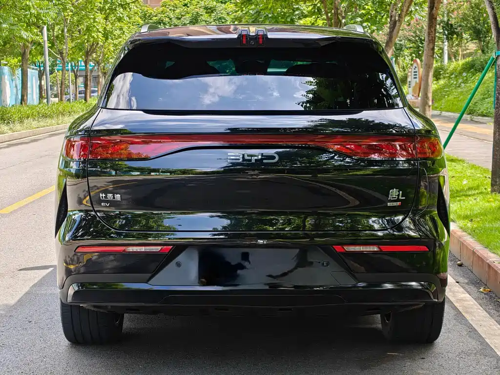 BYD Tang L — миниатюра 6