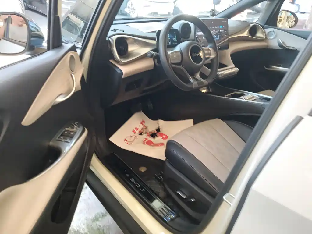 BYD Dolphin 2025 420km Fashion