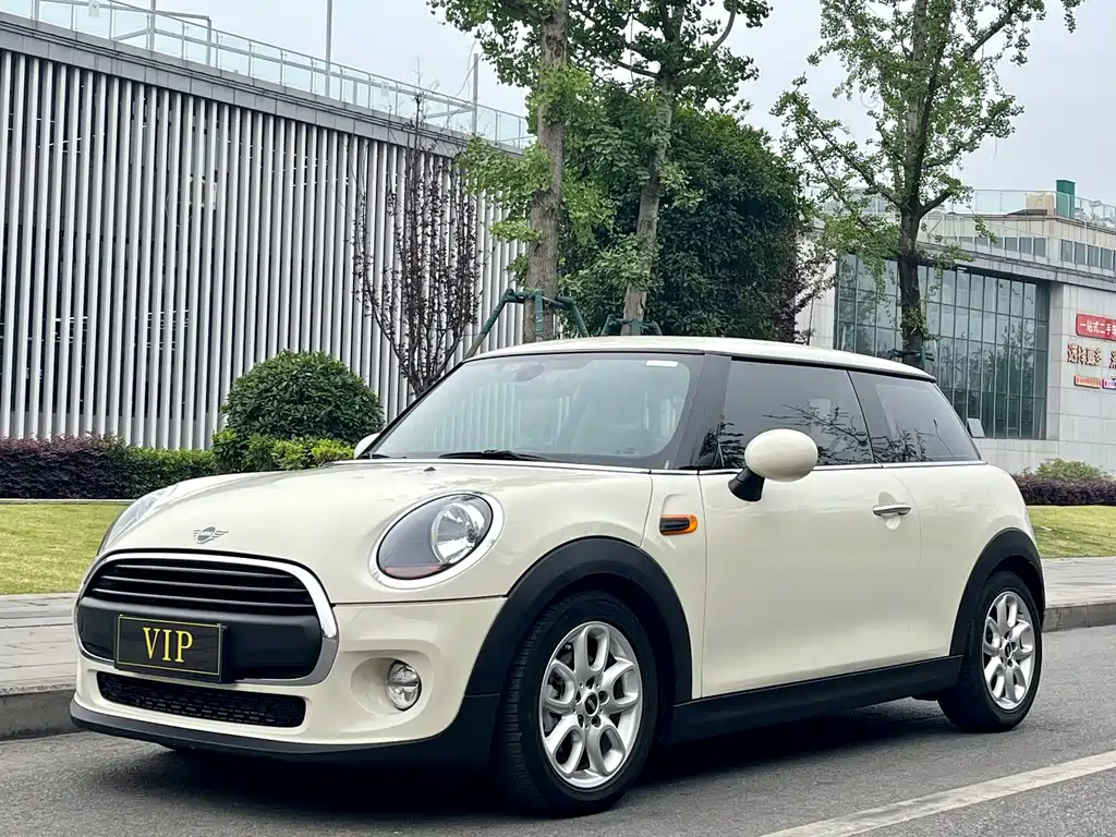 Mini Mini 2019