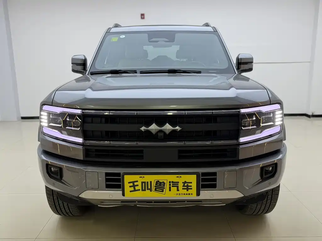 FANG CHENG BAO LEOPARD 5