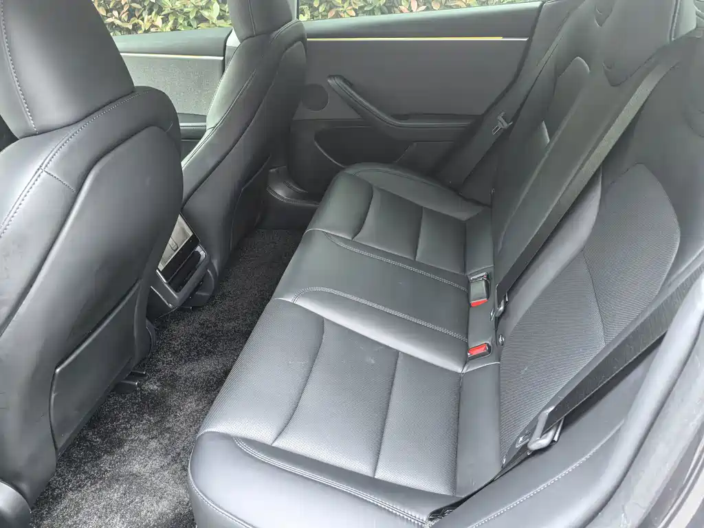 Tesla Model 3 — миниатюра 6