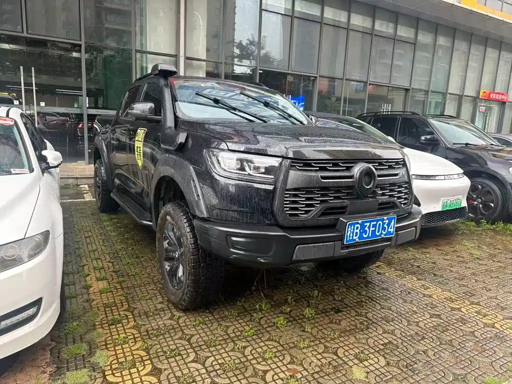 Great Wall Pao — миниатюра 2