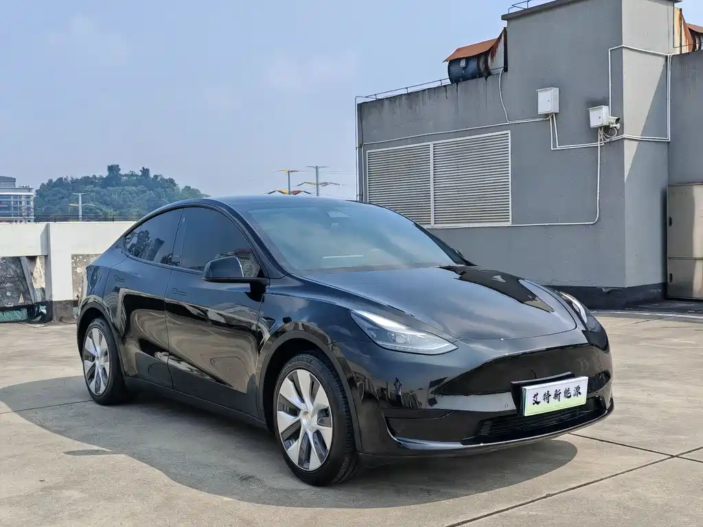 Tesla Model Y — миниатюра 3