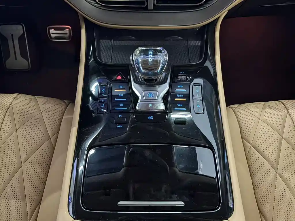 Denza Denza D9 — миниатюра 11