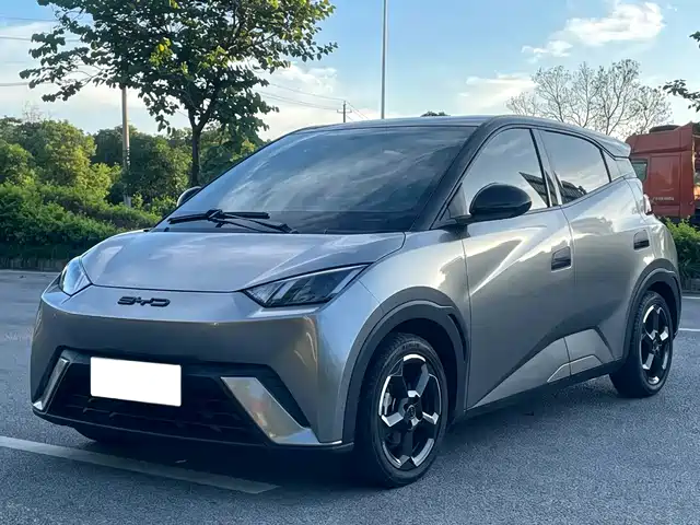 2024 BYD Seagull