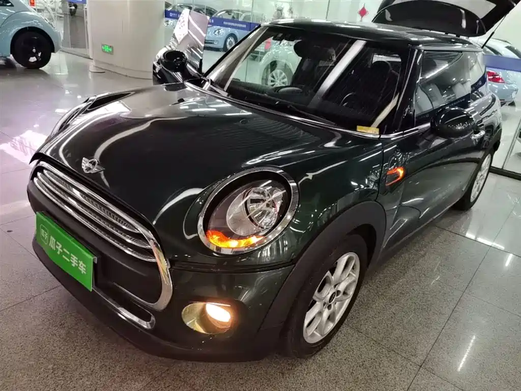 Mini Mini 2016