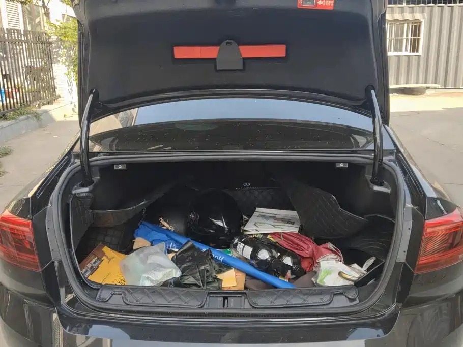 Volkswagen Magotan — миниатюра 4