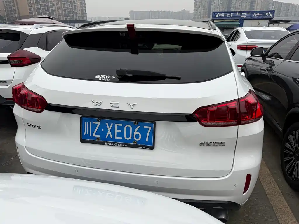 WEI PAI WEI BRAND VV5