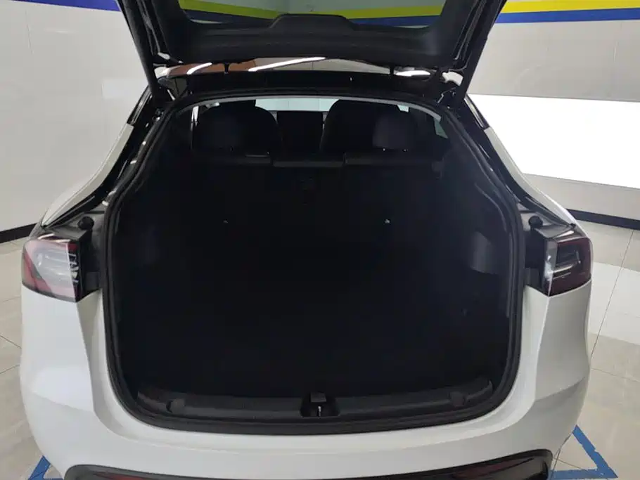 Tesla Model Y — миниатюра 4