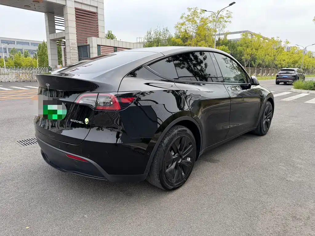 Tesla Model Y — миниатюра 7