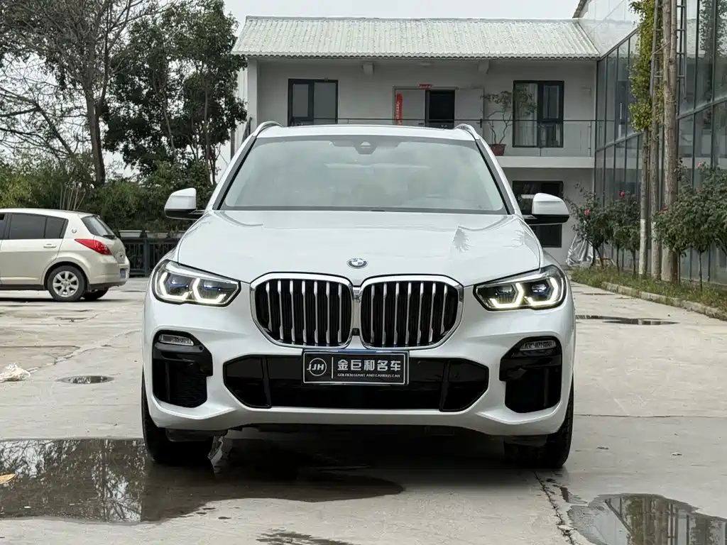 BMW X5 (Import) — миниатюра 2