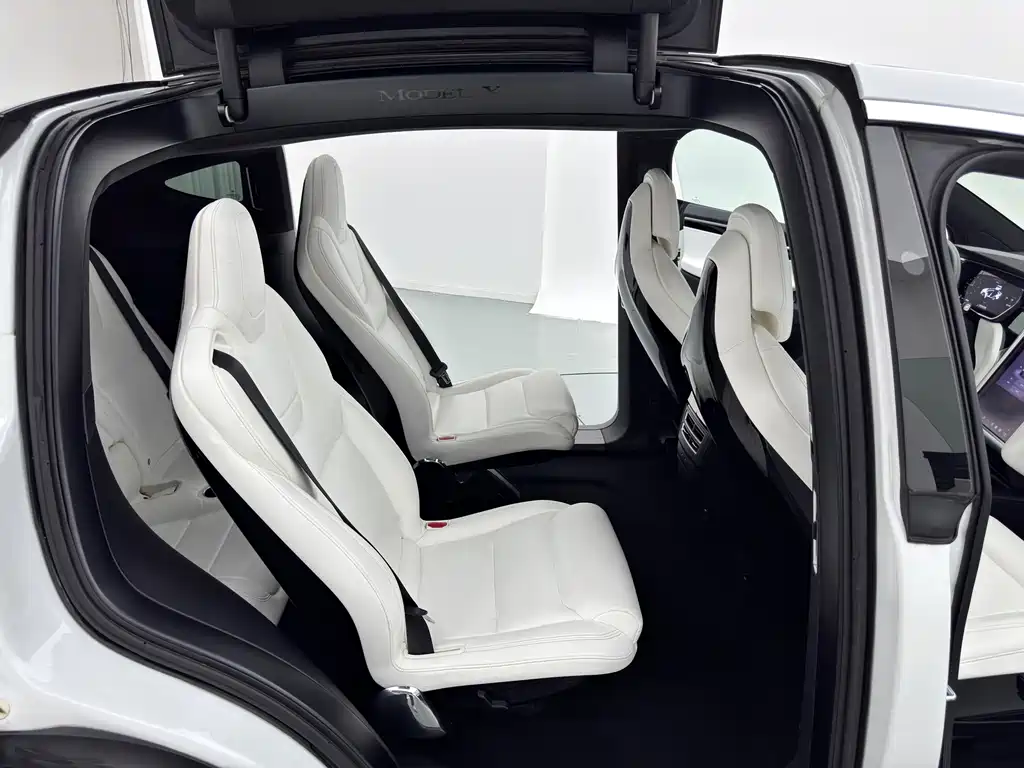 Tesla Model X — миниатюра 12