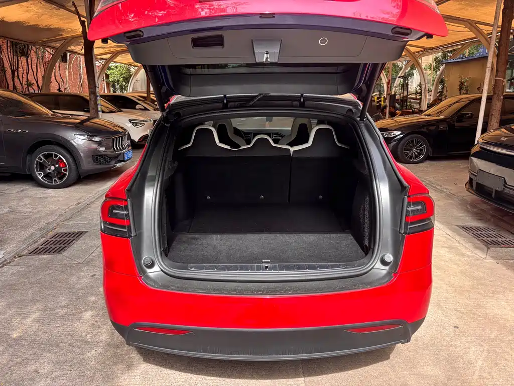 Tesla Model X — миниатюра 11