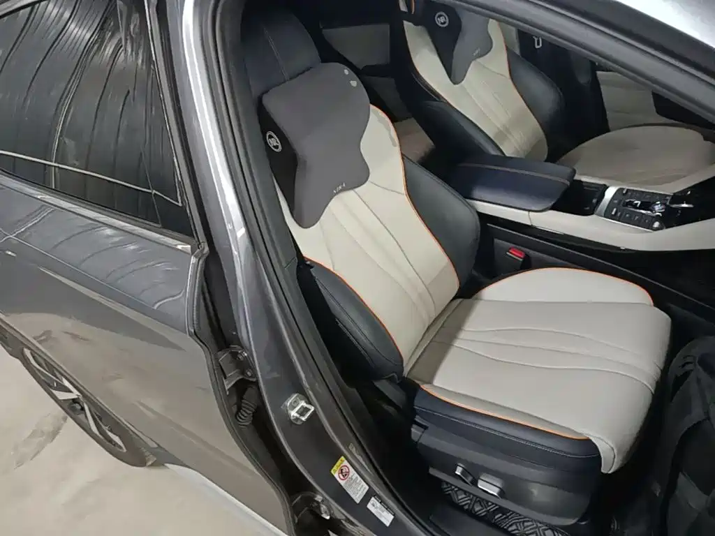 BYD PLUS New Energy — миниатюра 25