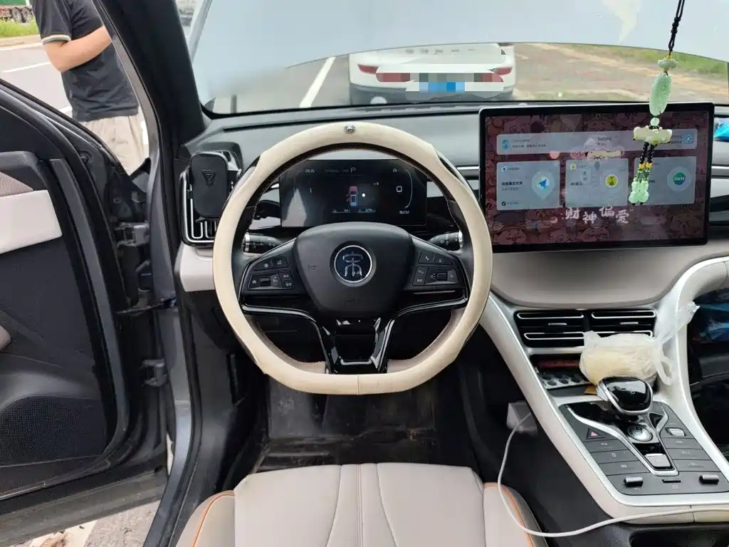 BYD Pro New Energy — миниатюра 3