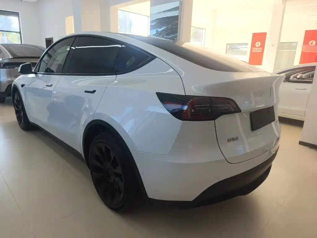 Tesla Model Y — миниатюра 5