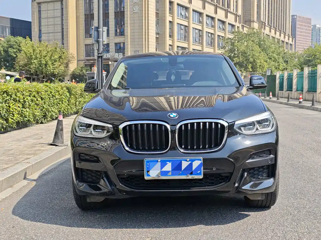BMW X4 — миниатюра 2