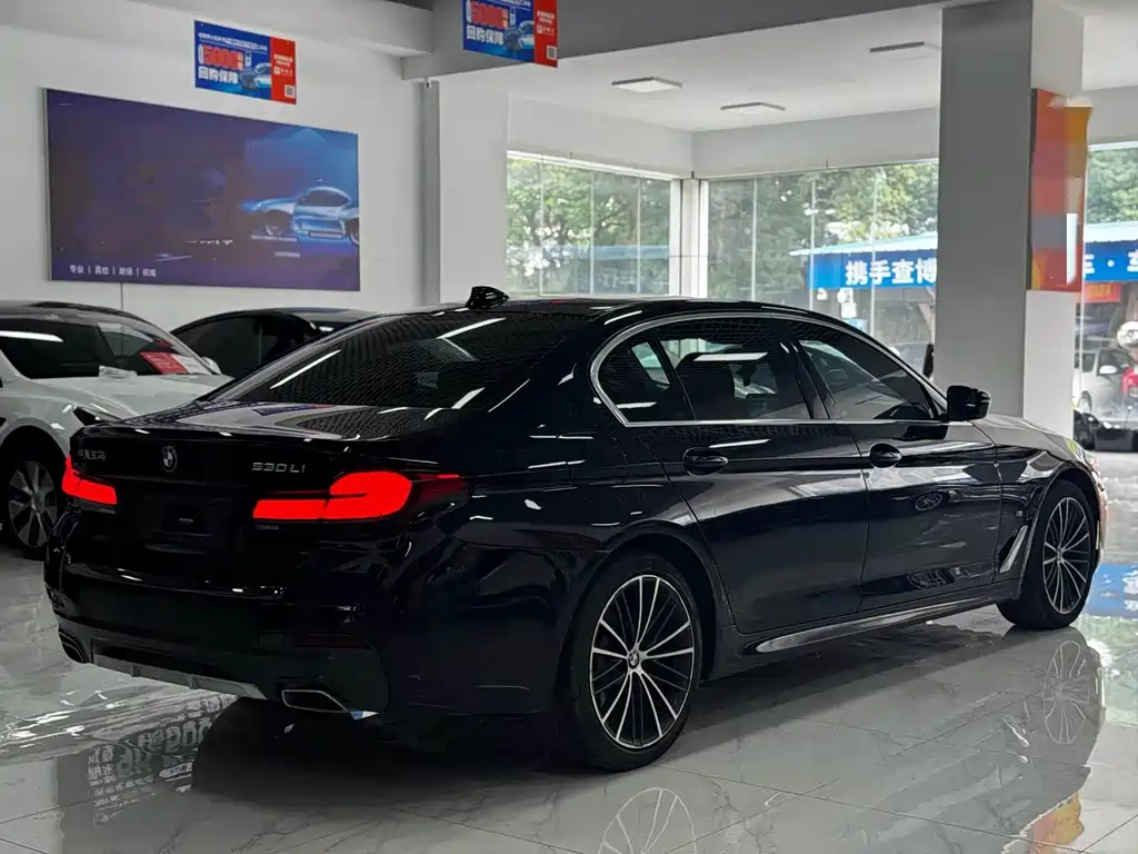 BMW 5 Series — миниатюра 10