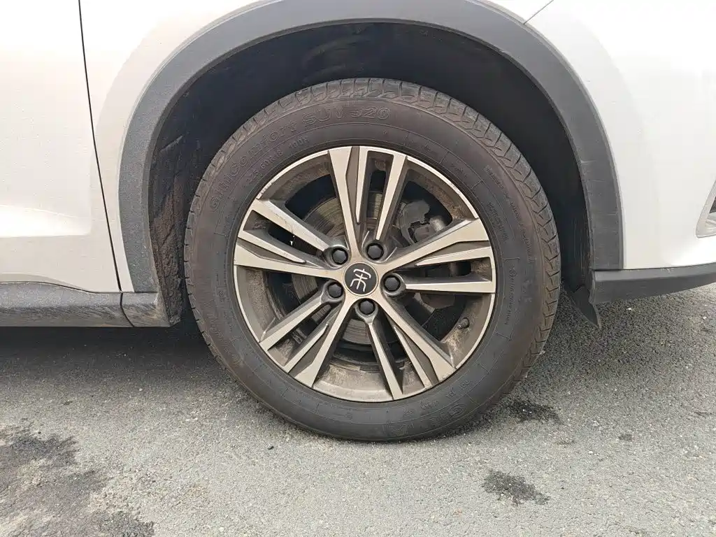 BYD Pro — миниатюра 8