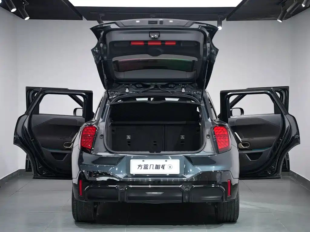 MINI MINI ACEMAN EV — миниатюра 7