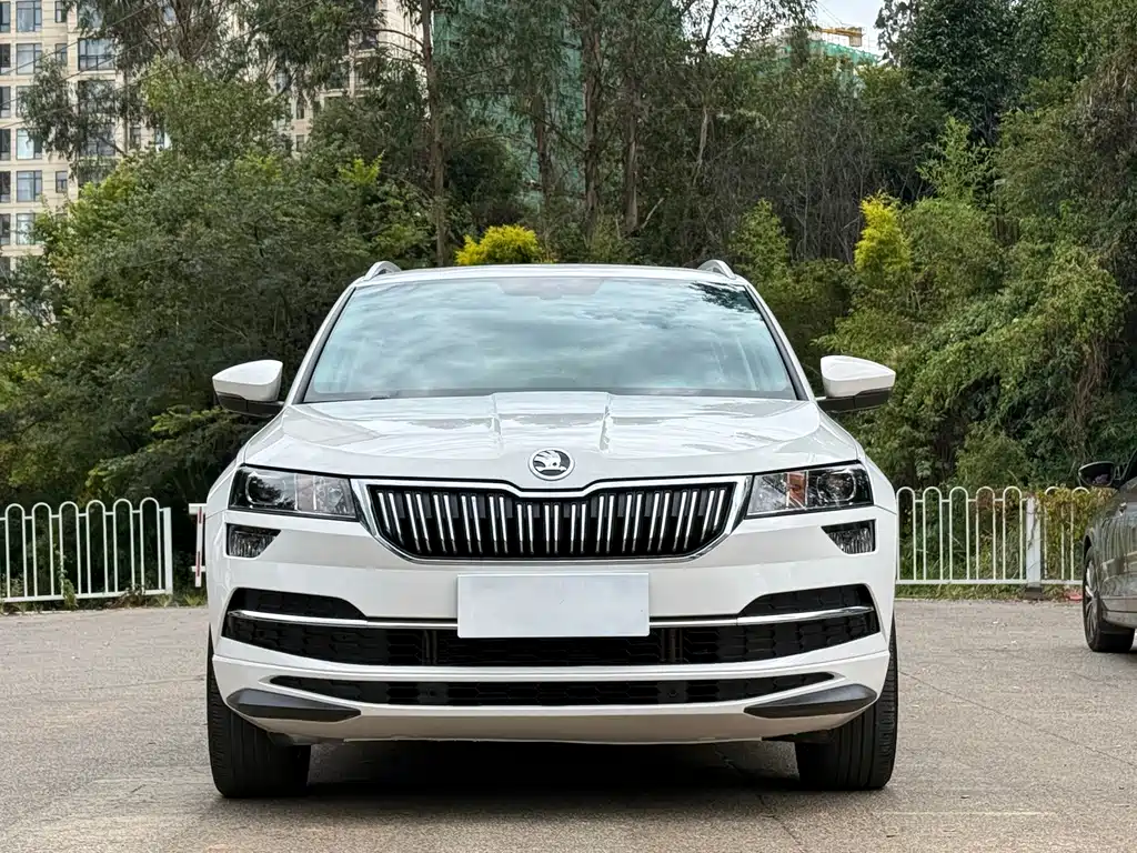 Skoda Karoq — миниатюра 2