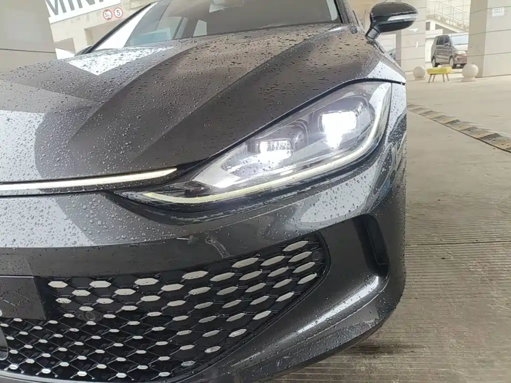 Volkswagen Lamando — миниатюра 24