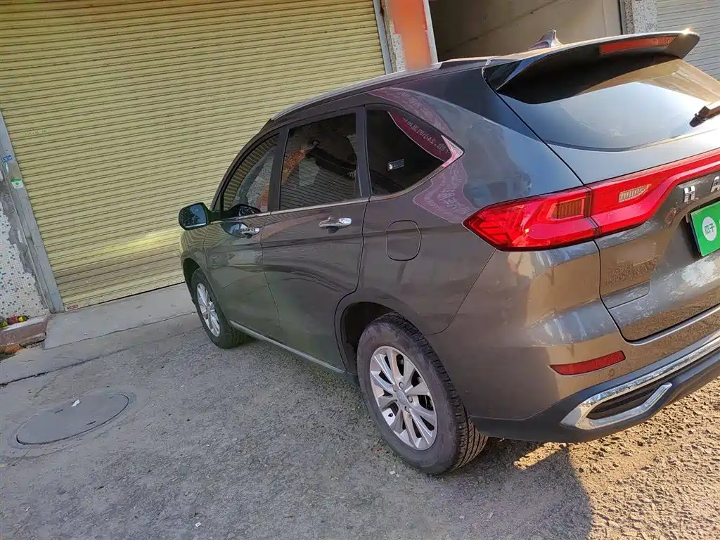 HAVAL  M6