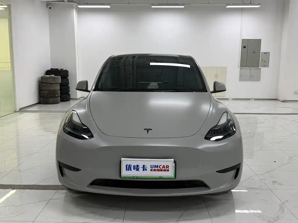 Tesla Model Y — миниатюра 2