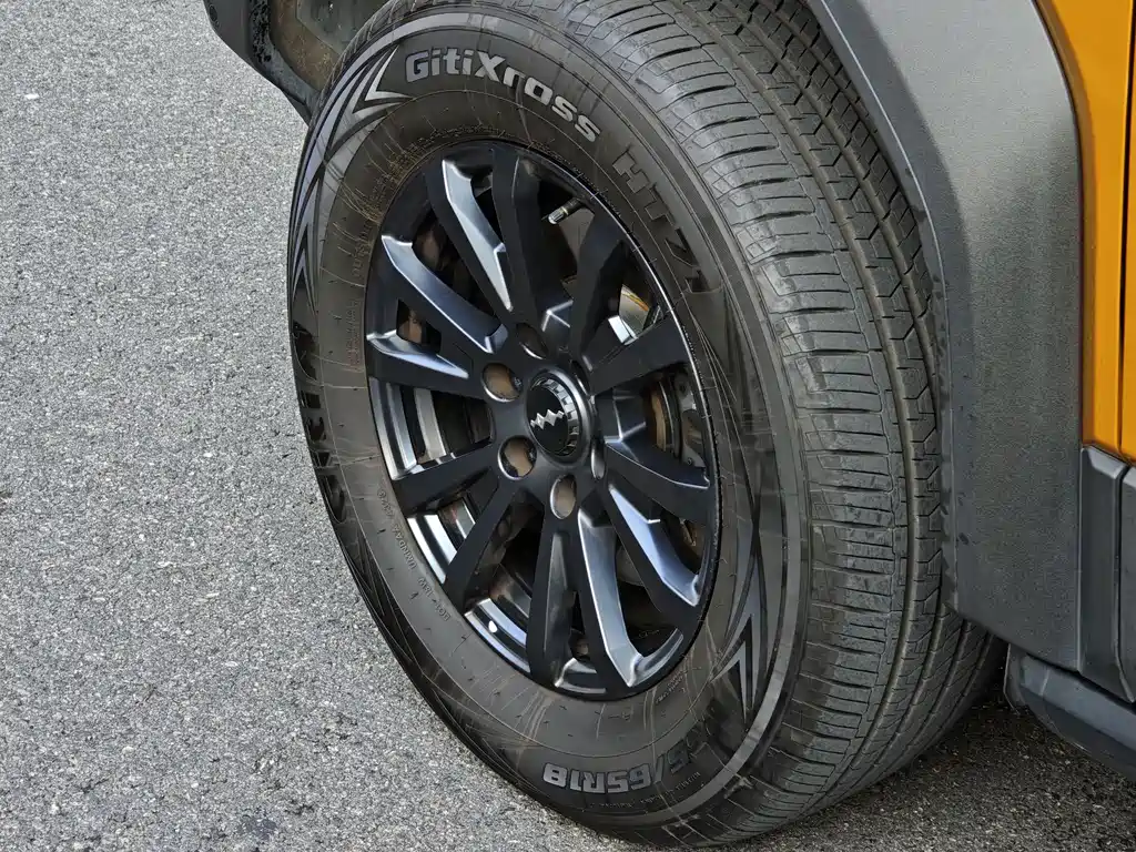 FANG CHENG BAO LEOPARD 5