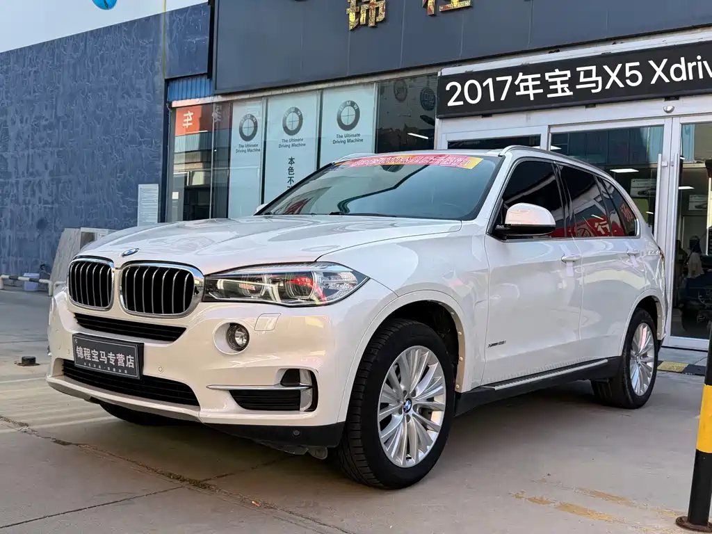 BMW X5 (Import) — миниатюра 2