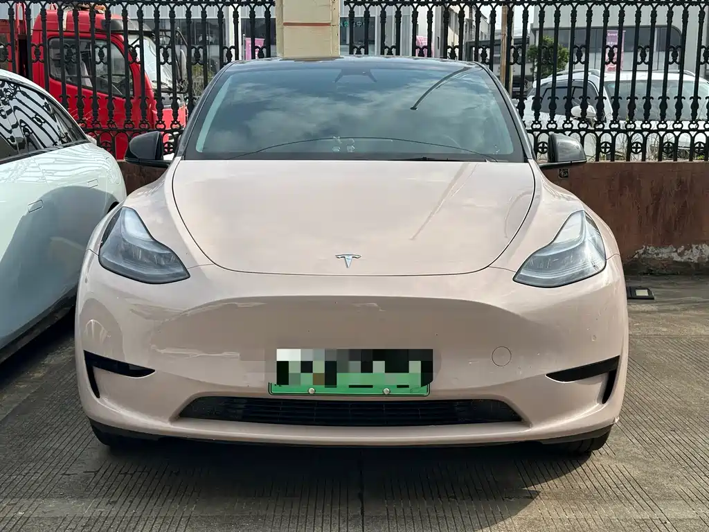 Tesla Model Y — миниатюра 2