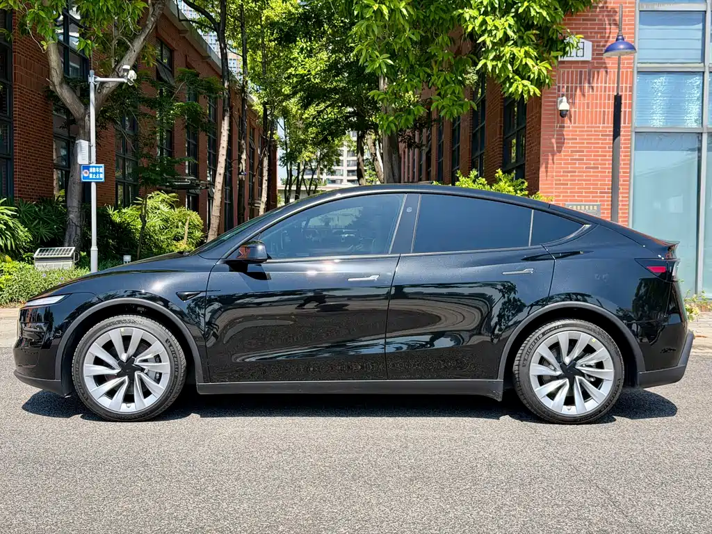Tesla Model Y — миниатюра 2