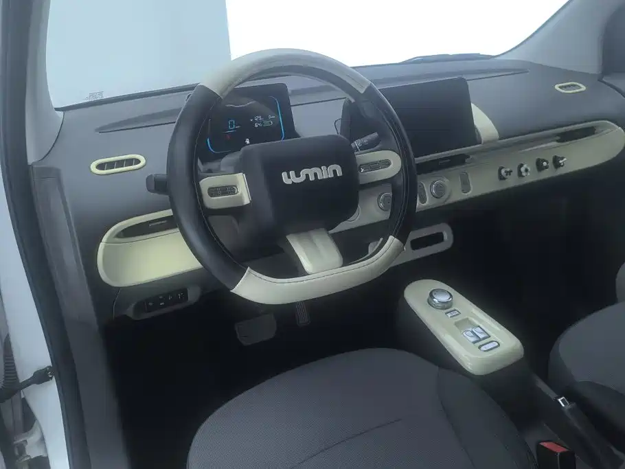 Qiyuan Lumin — миниатюра 12