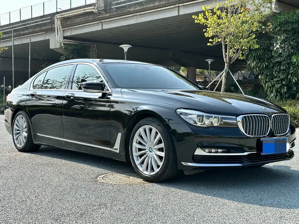 BMW 7 Series 7 2018 730Li Lead