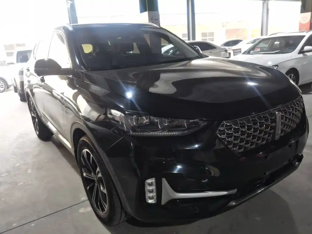 Wey Wey VV6 — миниатюра 4