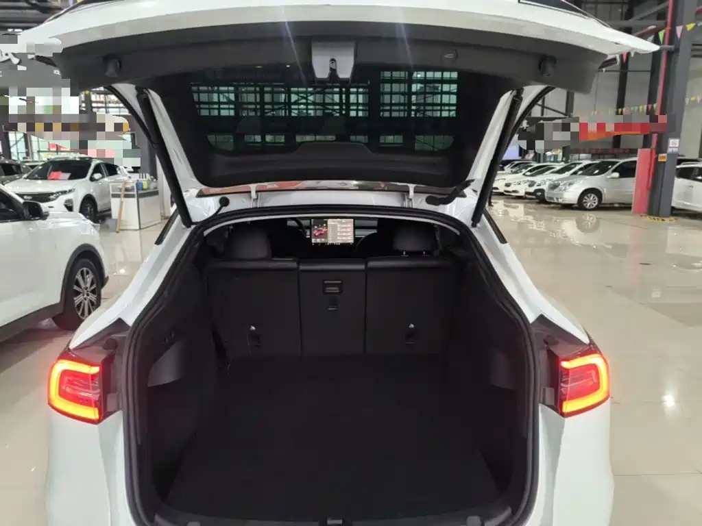 Tesla Model Y — миниатюра 15