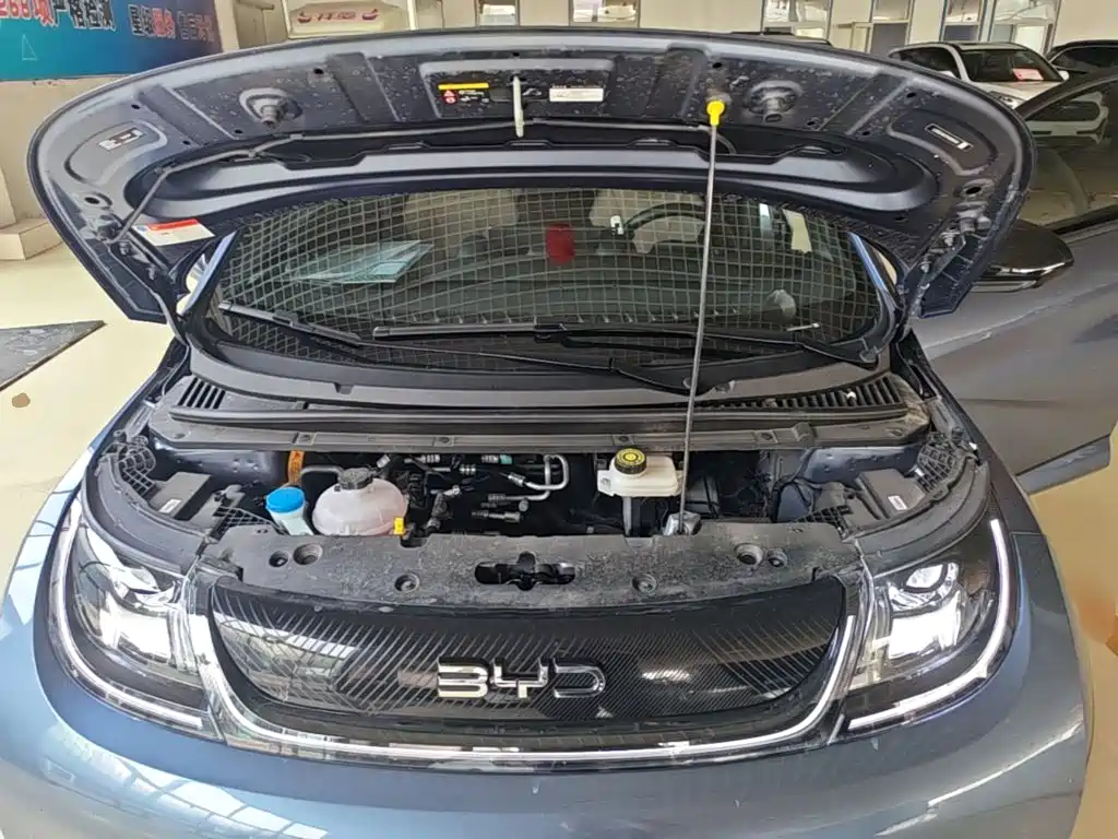 BYD Dolphin — миниатюра 20