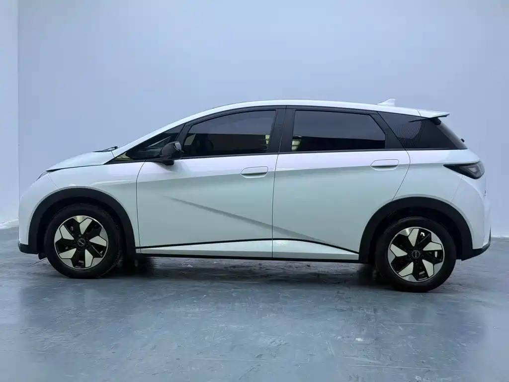 BYD Dolphin — миниатюра 4