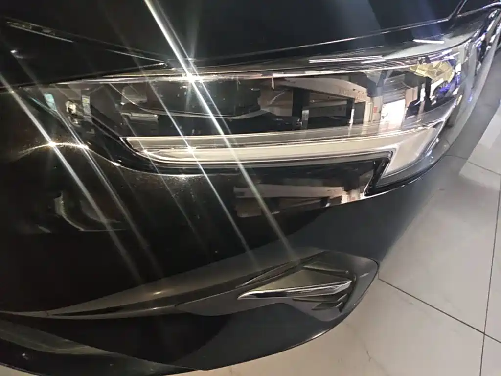 Buick Regal — миниатюра 24