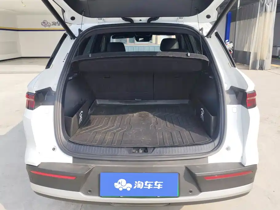BYD Pro New Energy — миниатюра 4