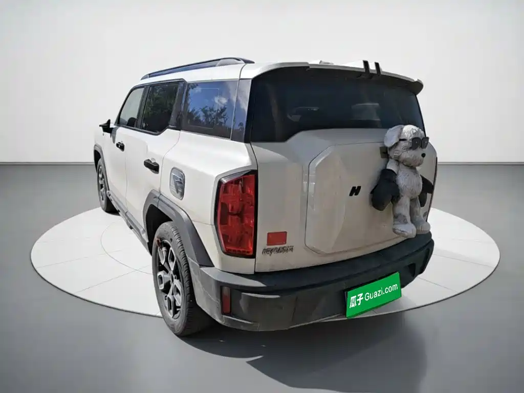 Haval Cool Dog — миниатюра 25
