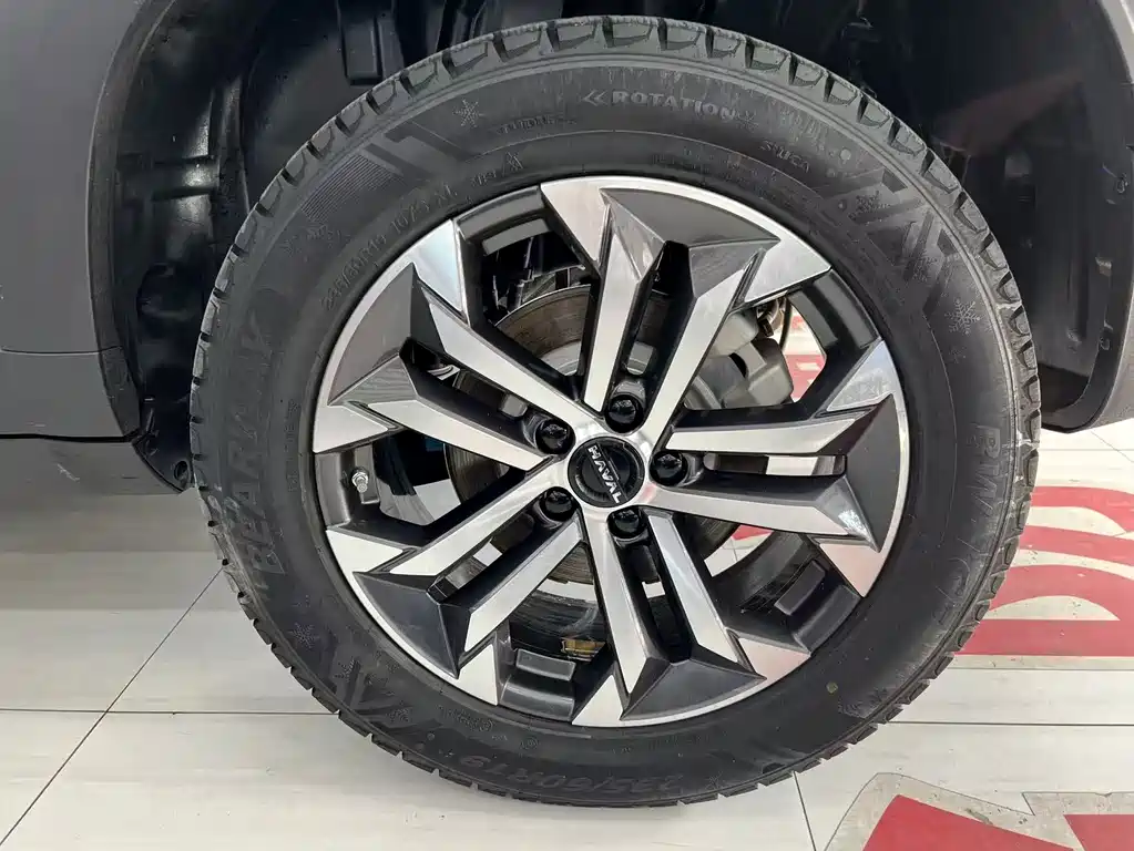Haval Big Dog — миниатюра 24
