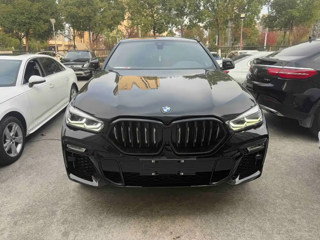 BMW X6 2021