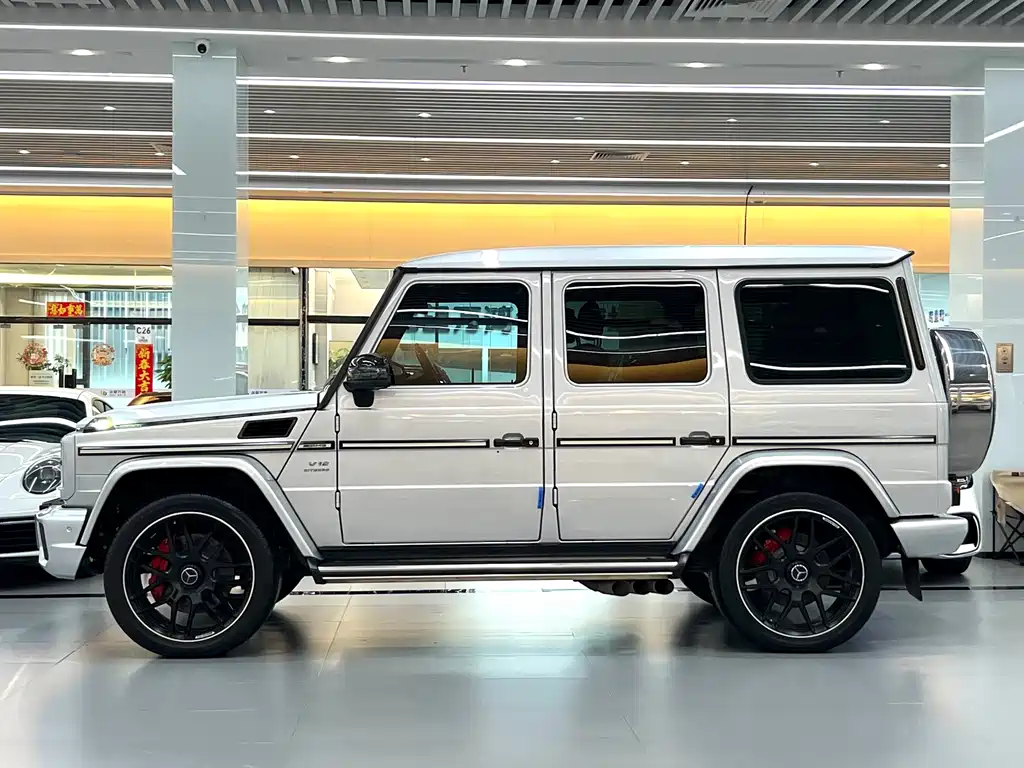 Mercedes-Benz G-Class G 2010 G 500
