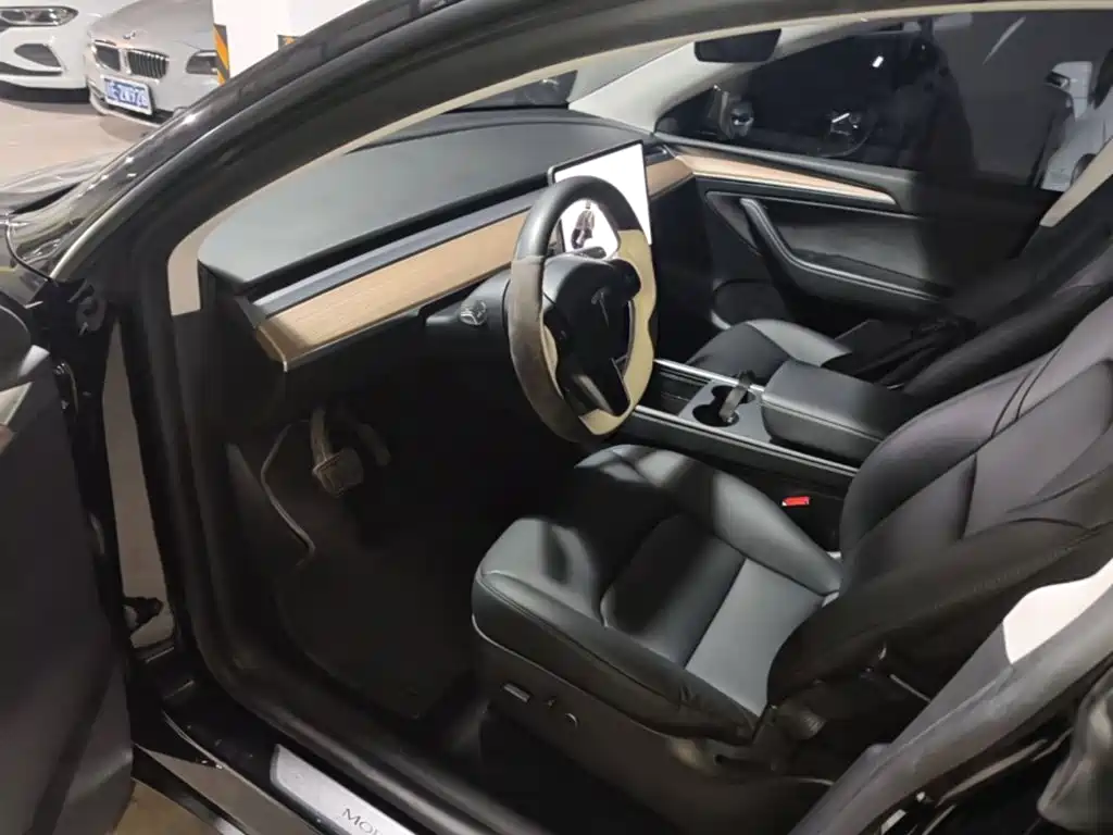 Tesla Model Y — миниатюра 16