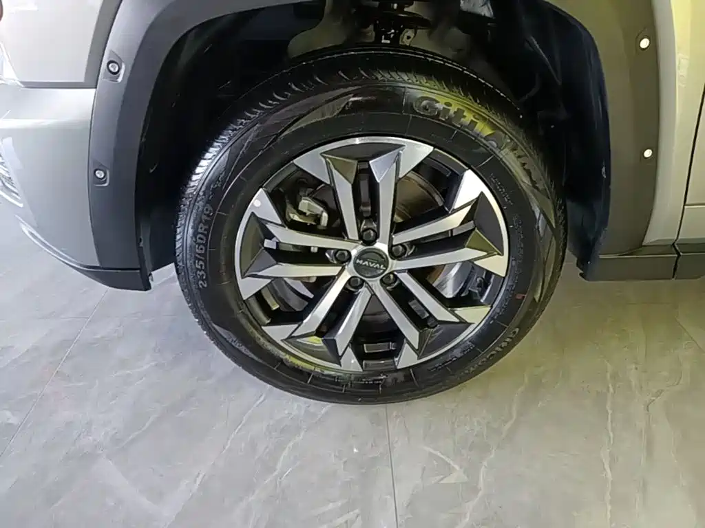 Haval Big Dog PLUS — миниатюра 23