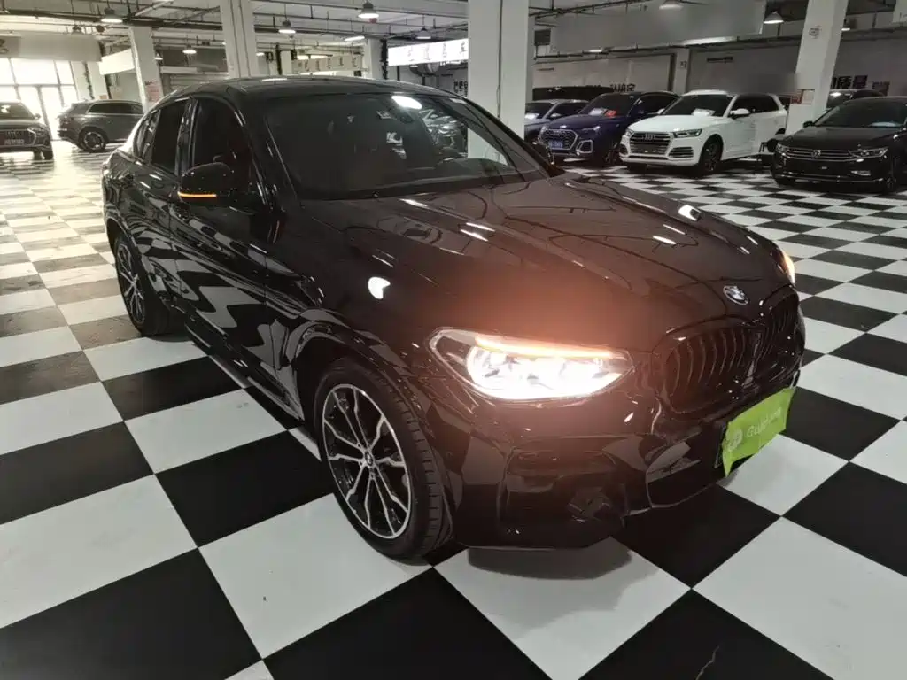 BMW X4 — миниатюра 4